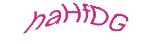 عبارت امنیتی