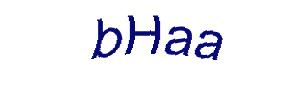 عبارت امنیتی