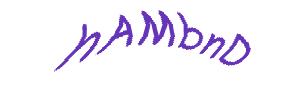 عبارت امنیتی