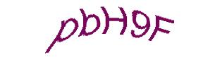 عبارت امنیتی
