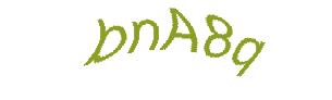 عبارت امنیتی