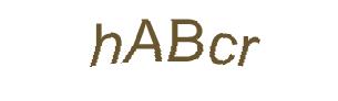 عبارت امنیتی