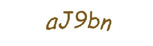 عبارت امنیتی