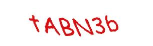 عبارت امنیتی
