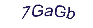 عبارت امنیتی