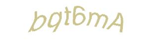 عبارت امنیتی