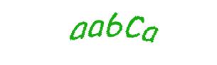 عبارت امنیتی