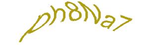 عبارت امنیتی