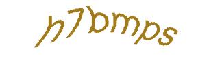 عبارت امنیتی