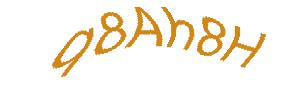 عبارت امنیتی