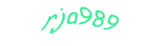 عبارت امنیتی