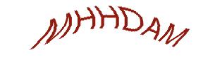 عبارت امنیتی