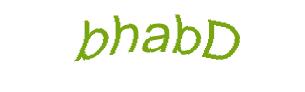عبارت امنیتی