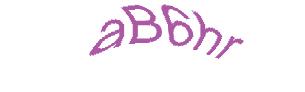 عبارت امنیتی