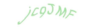 عبارت امنیتی