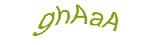 عبارت امنیتی