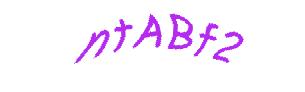 عبارت امنیتی