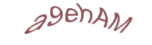 عبارت امنیتی
