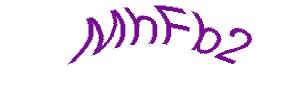 عبارت امنیتی