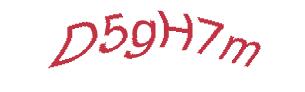 عبارت امنیتی