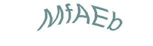 عبارت امنیتی
