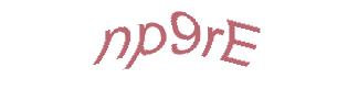 عبارت امنیتی