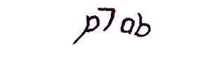 عبارت امنیتی