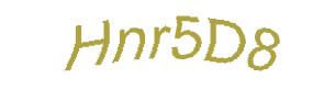 عبارت امنیتی