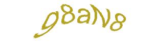 عبارت امنیتی