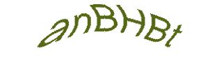 عبارت امنیتی