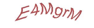 عبارت امنیتی
