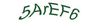 عبارت امنیتی