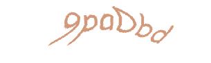 عبارت امنیتی