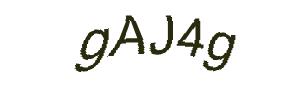 عبارت امنیتی