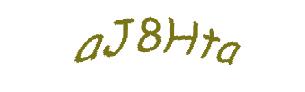 عبارت امنیتی