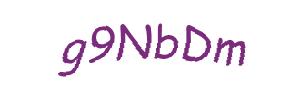 عبارت امنیتی