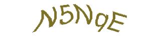 عبارت امنیتی