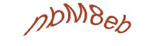 عبارت امنیتی