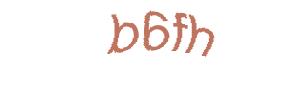 عبارت امنیتی