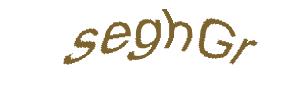 عبارت امنیتی