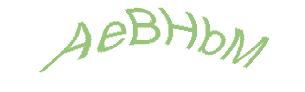 عبارت امنیتی