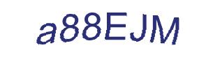 عبارت امنیتی