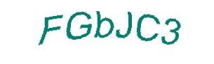 عبارت امنیتی