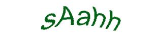 عبارت امنیتی