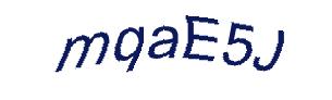 عبارت امنیتی
