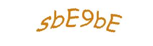 عبارت امنیتی