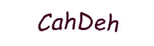 عبارت امنیتی